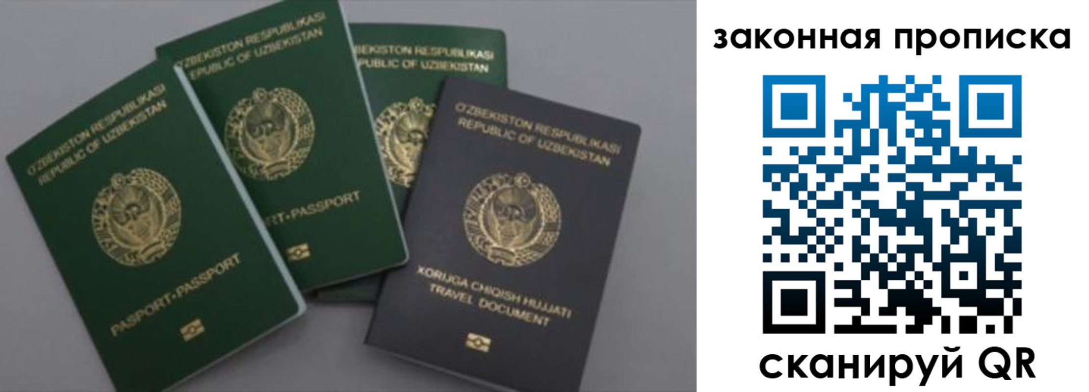 прописка законно в Шумихе